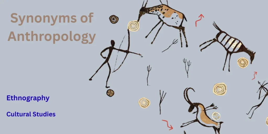 A picture of Anthropology