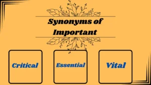 Synonyms of Important