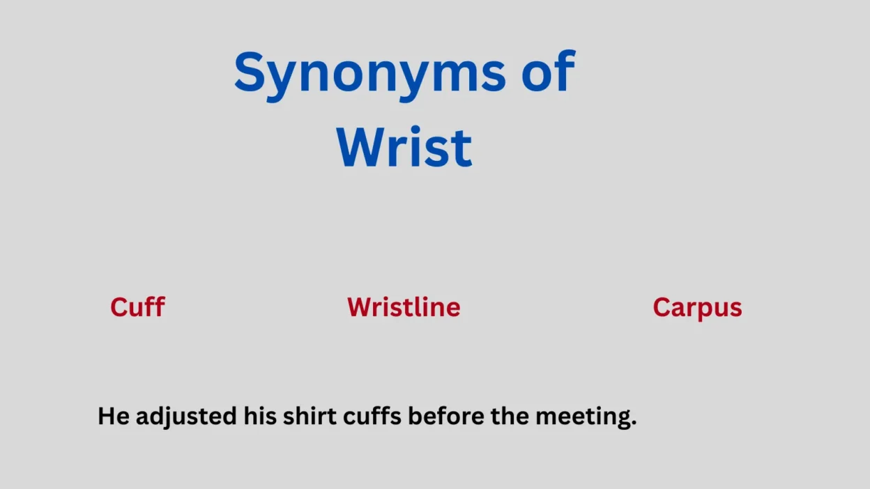 Synonyms of Wrist in Text