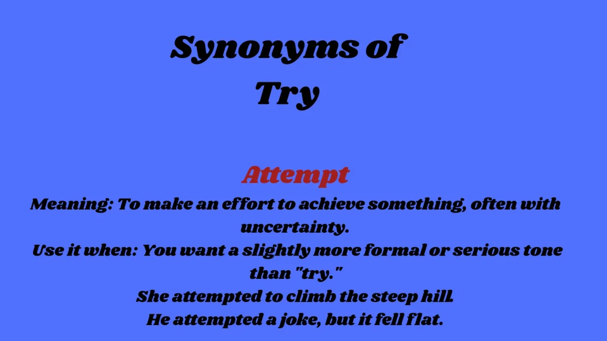 Synonyms of Try