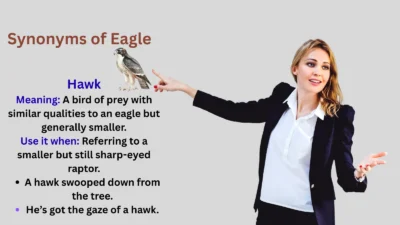 Synonyms of Eagle Explained