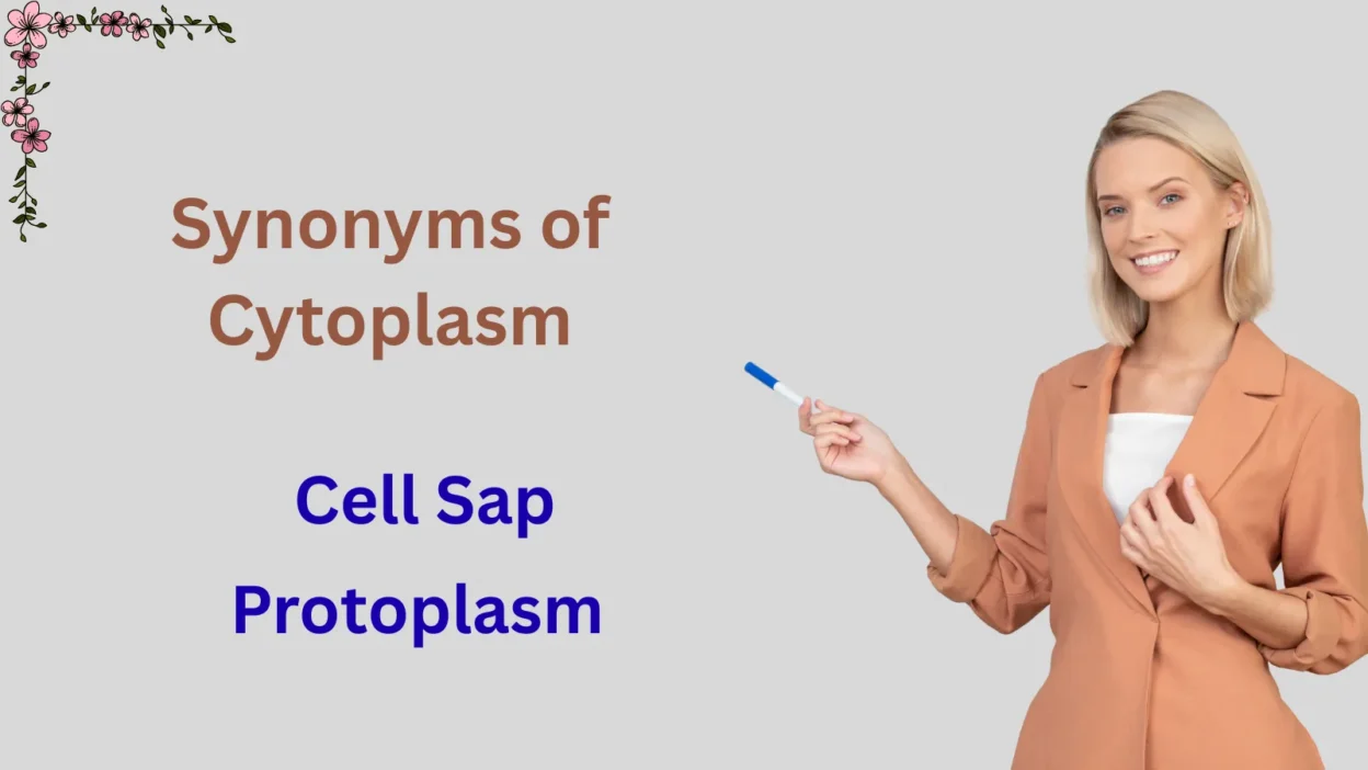 Synonyms of Cytoplasm Explained