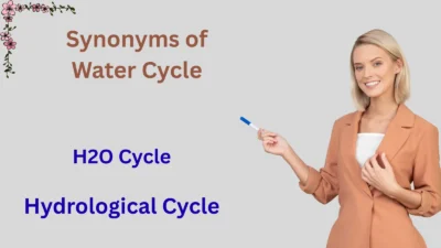 Synonyms of Water Cycle Explained by A Teacher