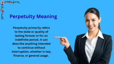 Perpetuity Meaning Explained