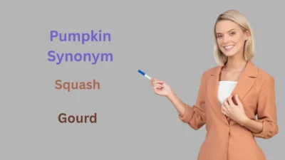 Pumpkin Synonym