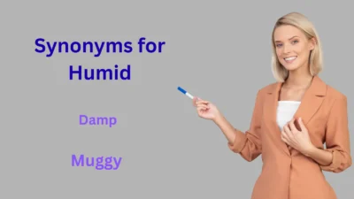 Synonyms for Humid Explained