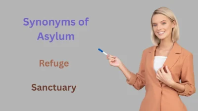 Synonyms of Asylum