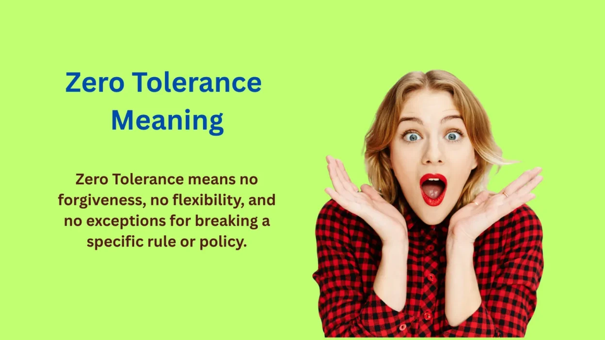 Zero Tolerance Meaning Explained