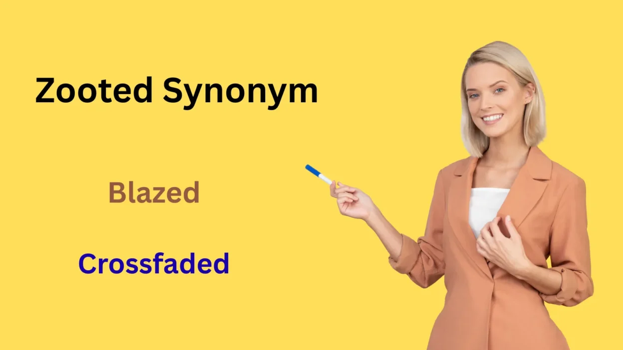 Zooted Synonym Explained