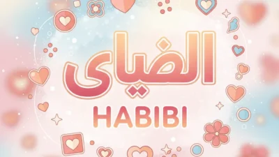 habibi mean