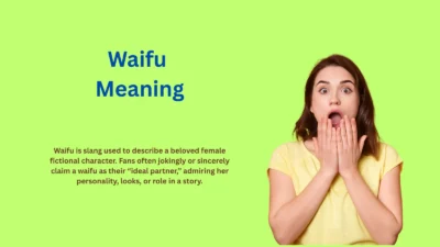 Waifu Meaning: Why Fans Can’t Stop Obsessing